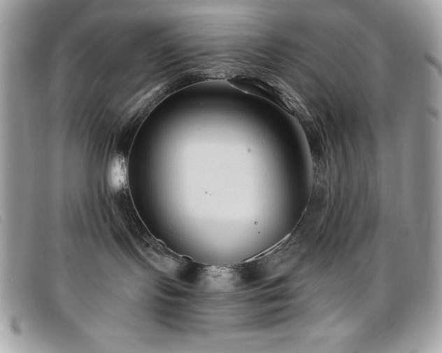 X0000095880095200801111143