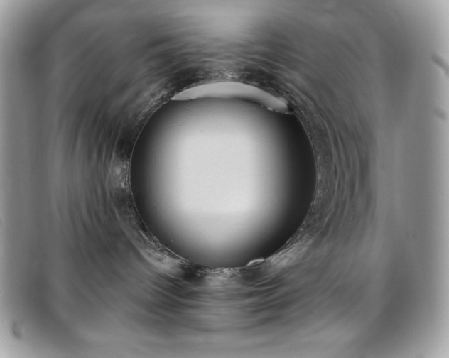 X0000095880096200801111143