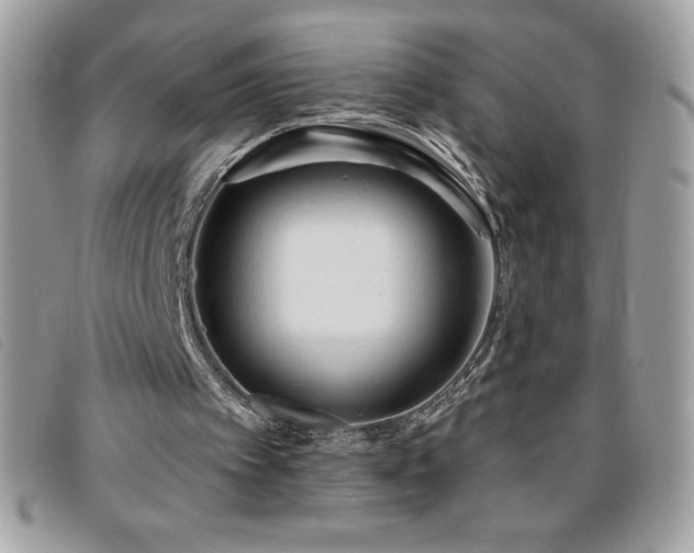 X0000095880097200801111142