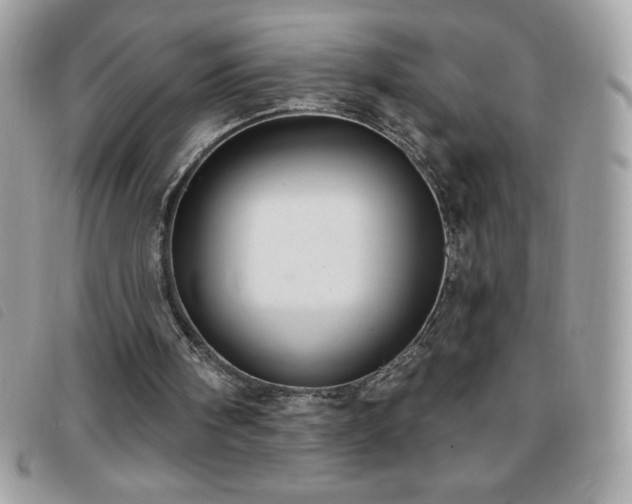 X0000095880098200801111142
