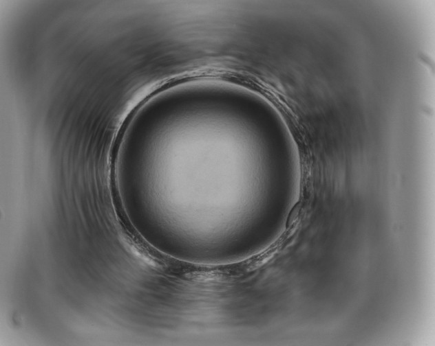 X0000095880100200801111142