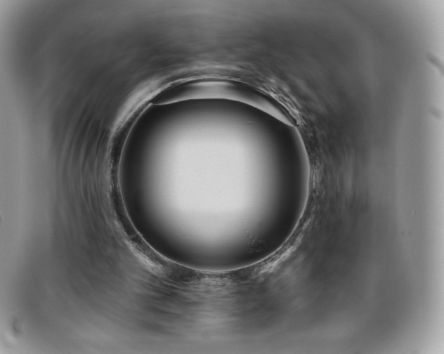 X0000095880101200801111142