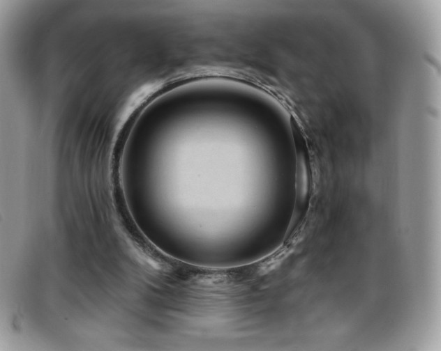 X0000095880104200801111142