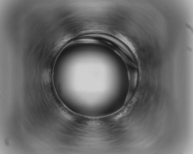 X0000095880105200801111142