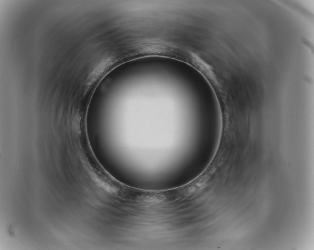 X0000095880106200801111142