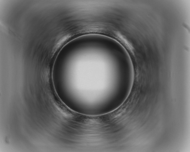 X0000095880107200801111142