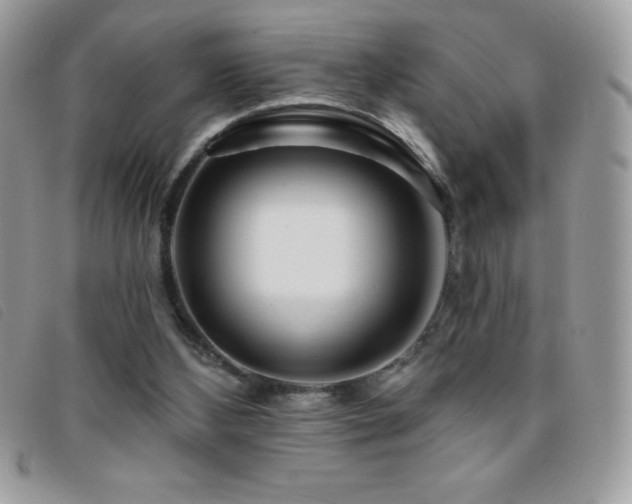 X0000095880108200801111142
