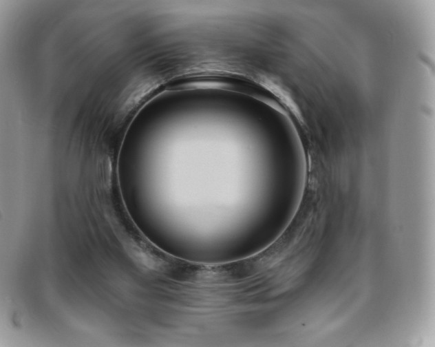 X0000095880109200801111142