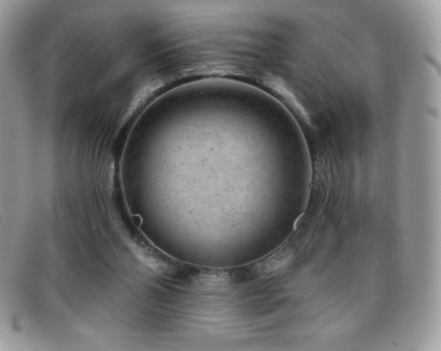 X0000095880110200801111142