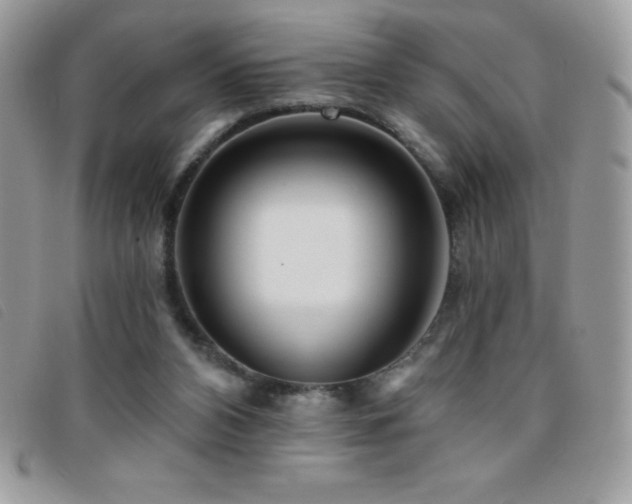 X0000095880112200801111142