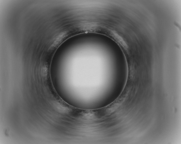 X0000095880113200801111142