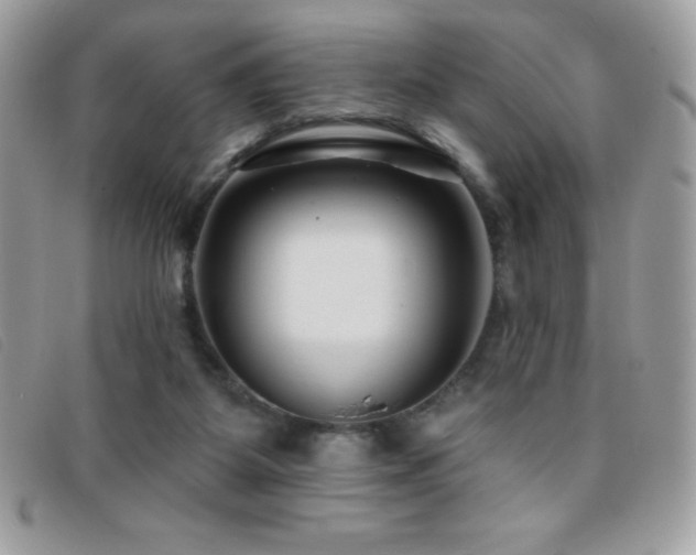 X0000095880115200801111142