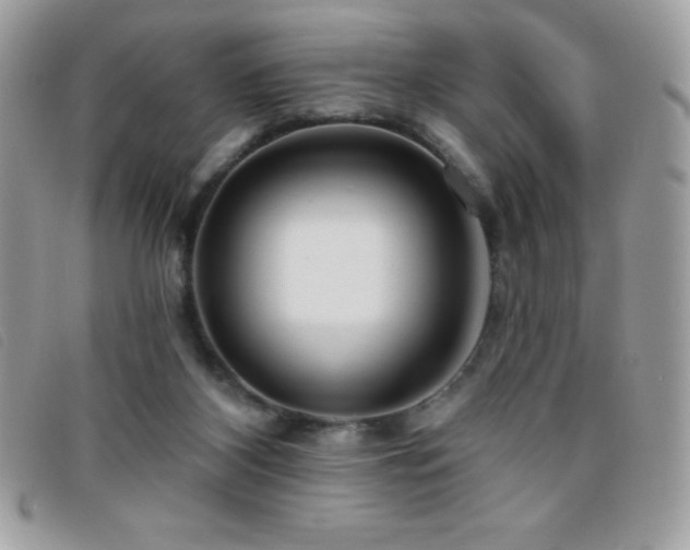 X0000095880116200801111142