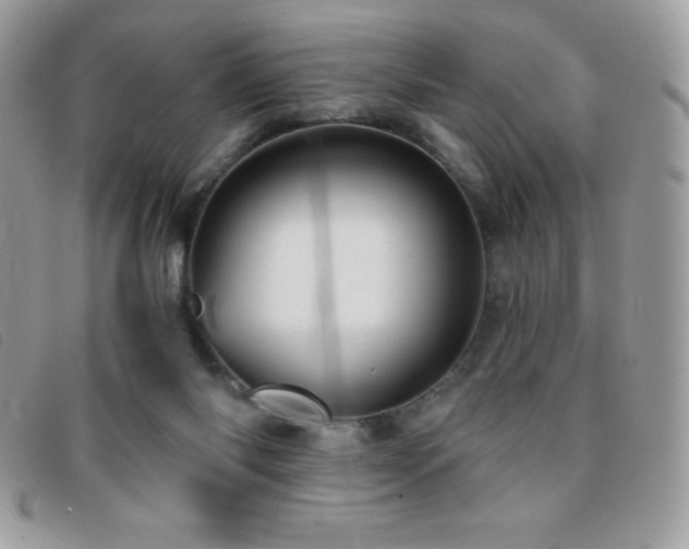 X0000095880118200801111142