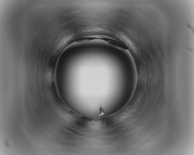 X0000095880119200801111142