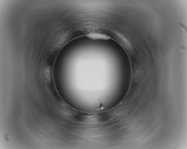 X0000095880121200801111142