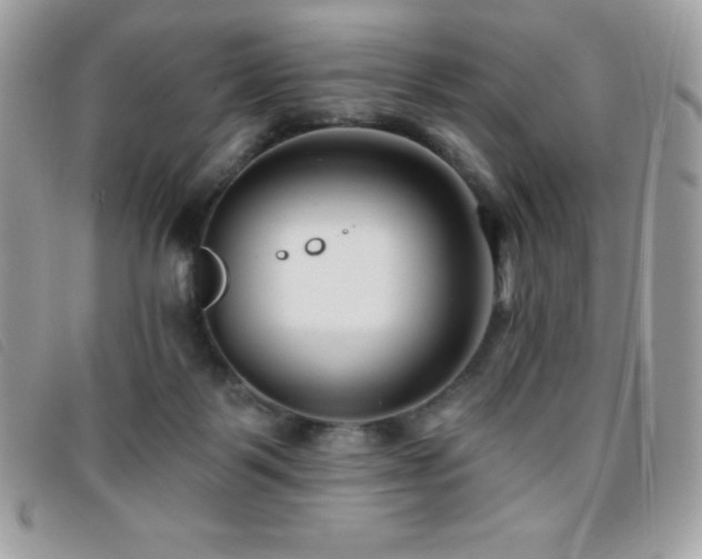 X0000095880123200801111142