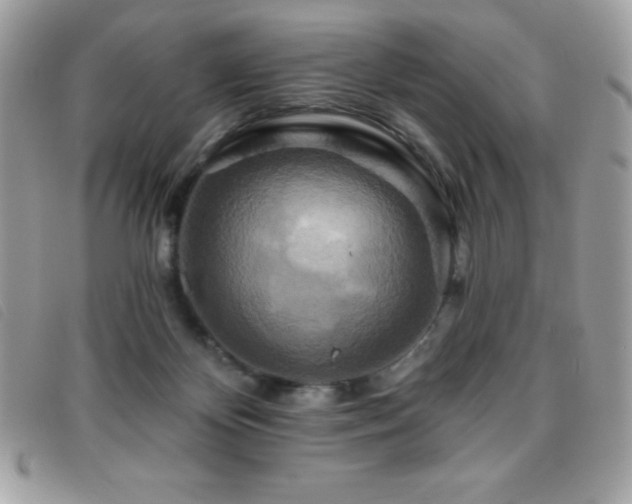 X0000095880124200801111142