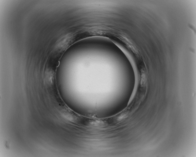 X0000095880125200801111142