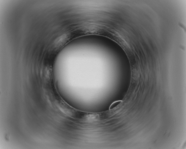 X0000095880126200801111142