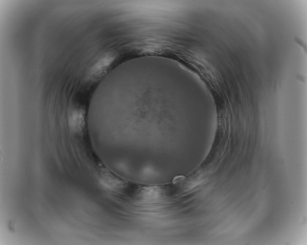 X0000095880127200801111142