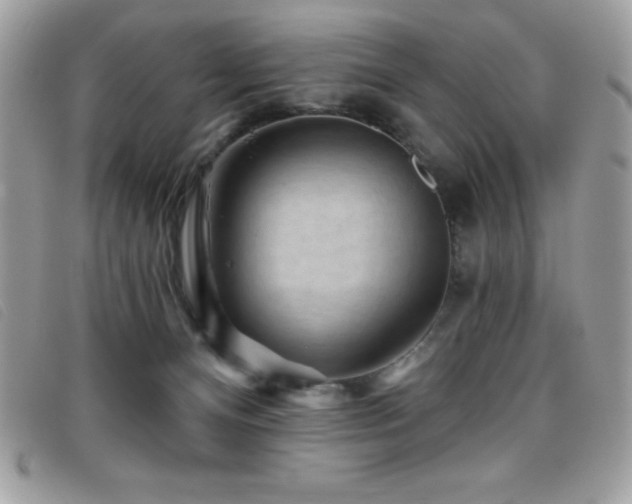 X0000095880128200801111142