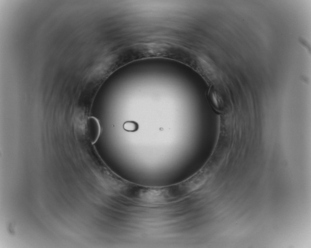 X0000095880129200801111142