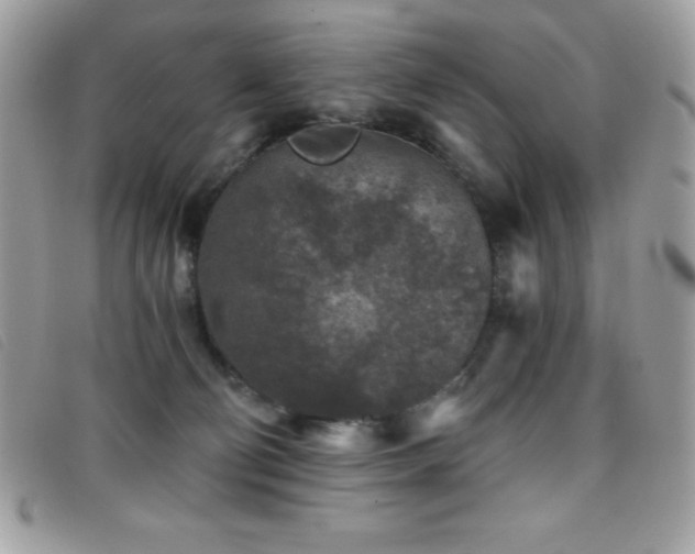 X0000095880130200801111142