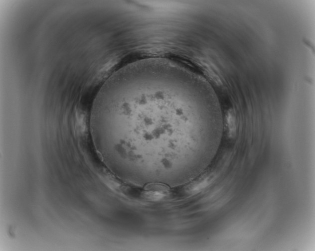 X0000095880131200801111142