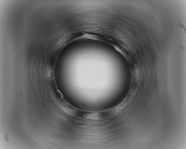 X0000095880132200801111142