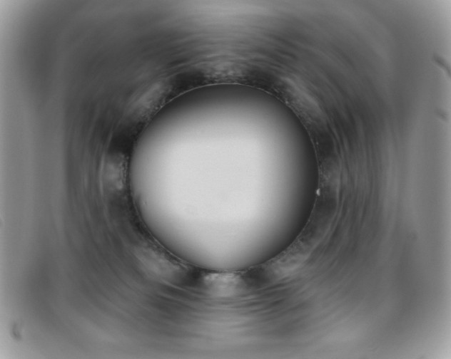 X0000095880133200801111141