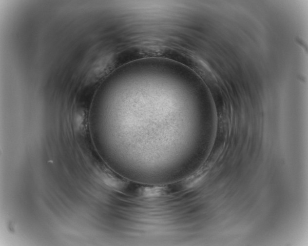 X0000095880134200801111141