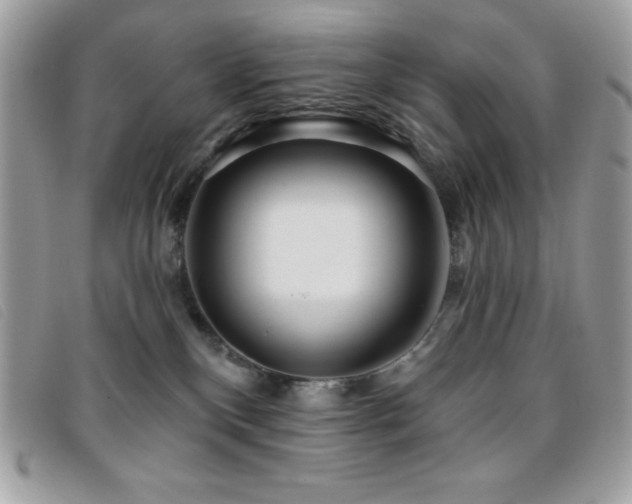 X0000095880136200801111141