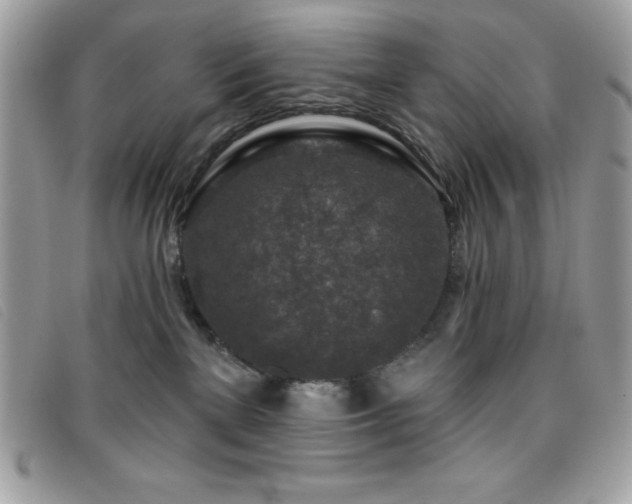 X0000095880137200801111141