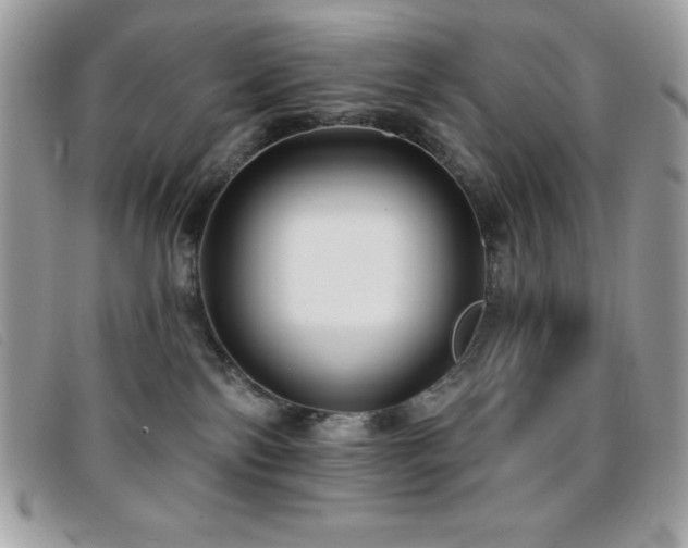 X0000095880138200801111141