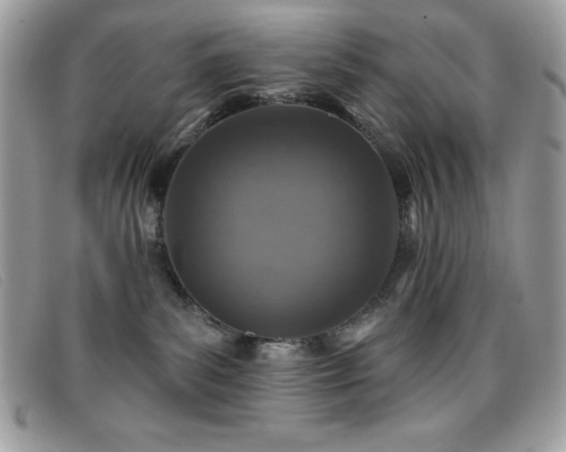 X0000095880139200801111141