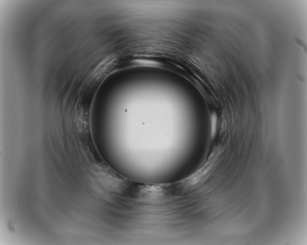 X0000095880140200801111141