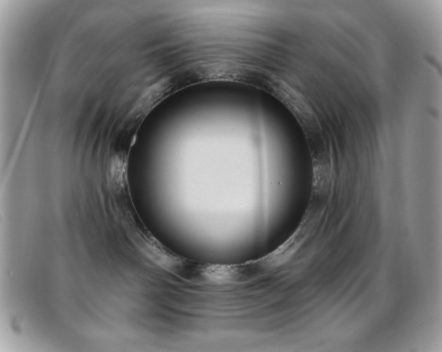 X0000095880142200801111141