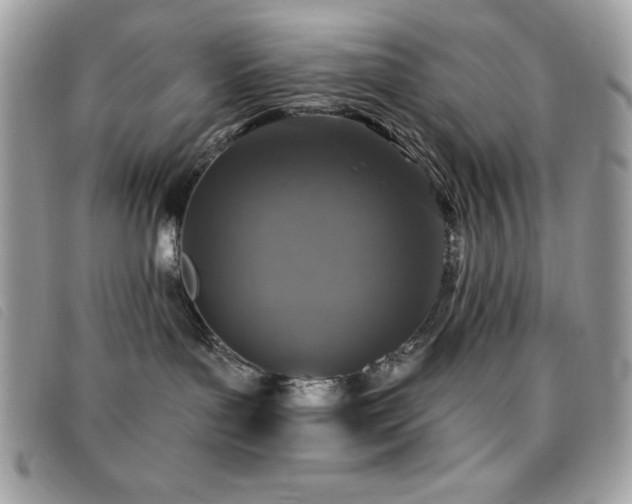 X0000095880143200801111141