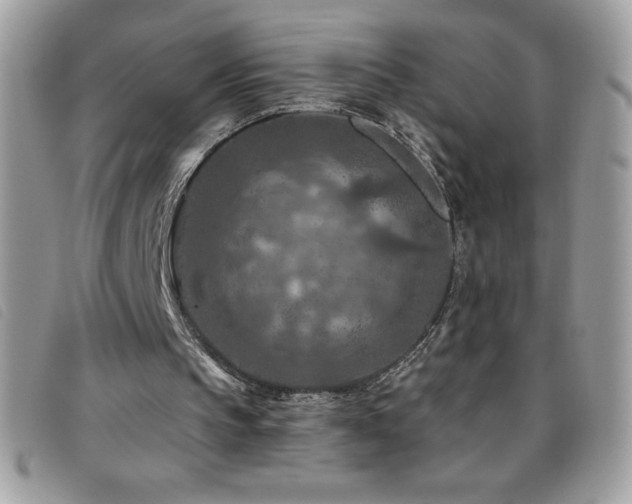 X0000095880145200801111141