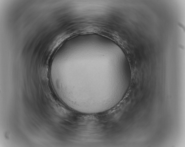 X0000095880146200801111141