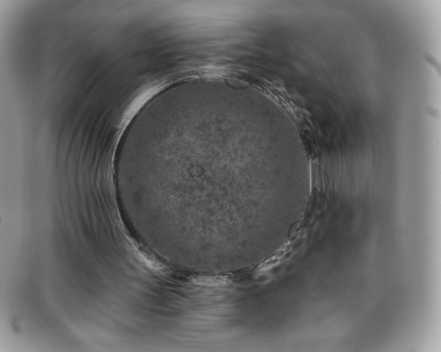 X0000095880147200801111141