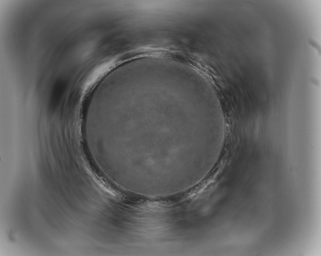 X0000095880149200801111141