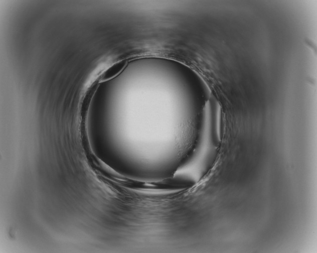 X0000095880150200801111141