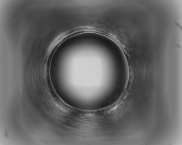 X0000095880151200801111141