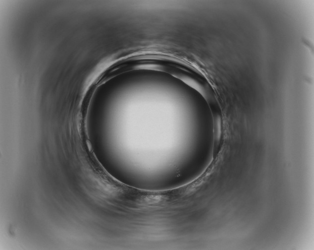X0000095880152200801111141