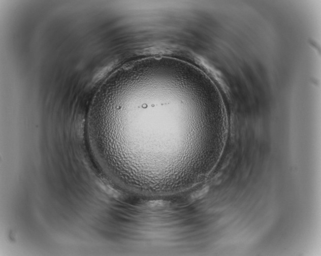 X0000095880153200801111141