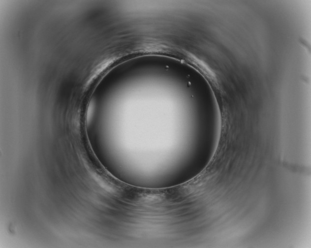 X0000095880155200801111141