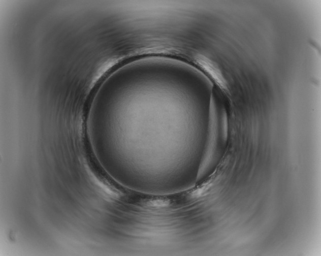 X0000095880156200801111141
