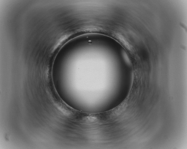 X0000095880159200801111141